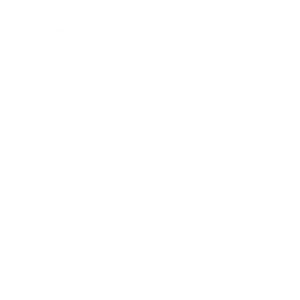 ServFaces Center